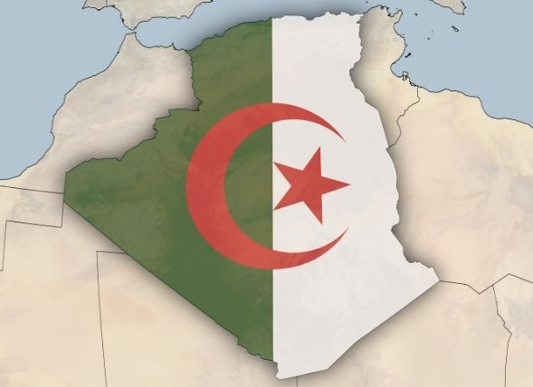 Bandera minimalista de Argelia para el mercado de origen de Zenira Trade